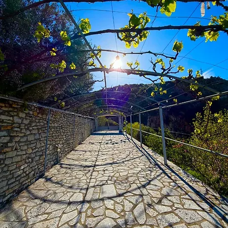 Fotis * Qeparo